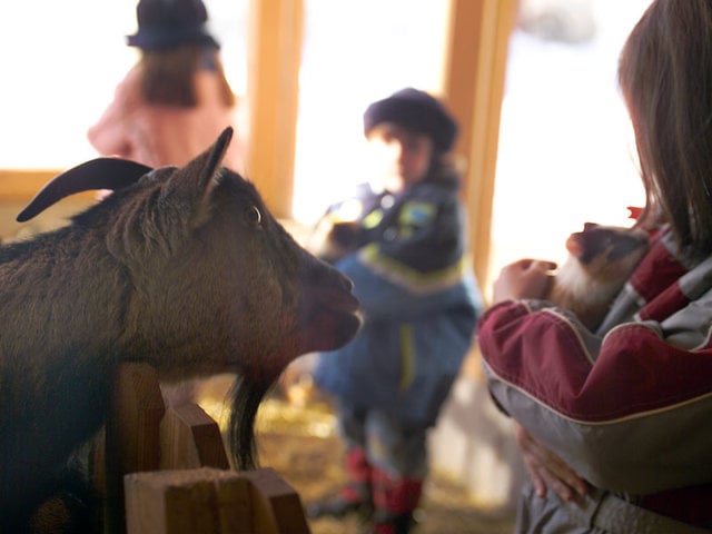 Unser Familienhotel am Bio-Bauernhof